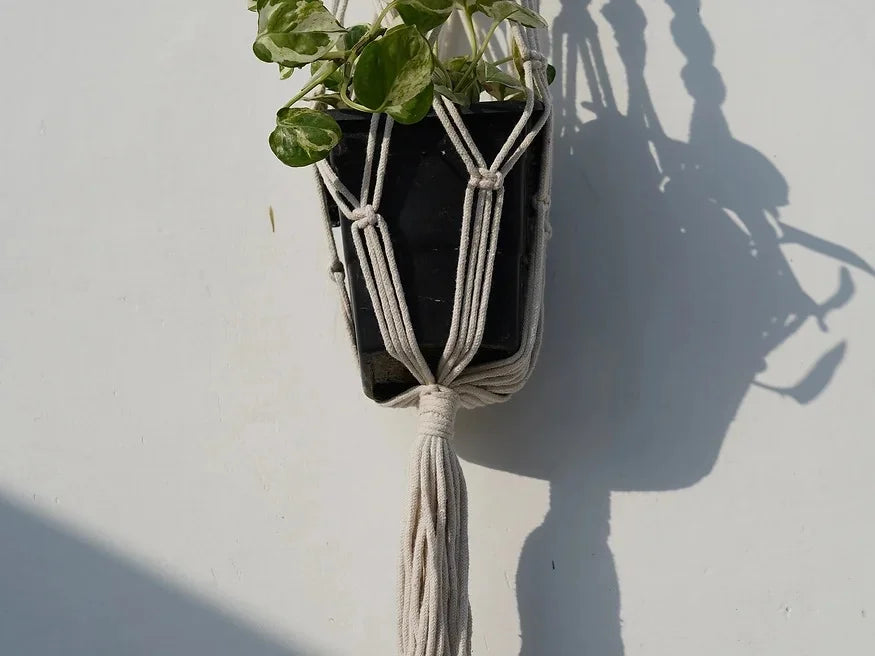 agonda macrame plant hanger 4