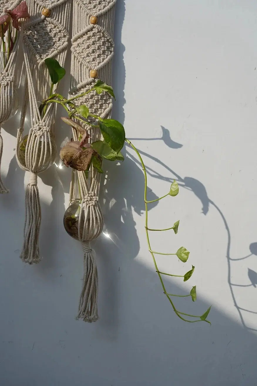 konkan forest macrame plant holder wall hanging 2